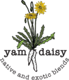 Yam Daisy Blends